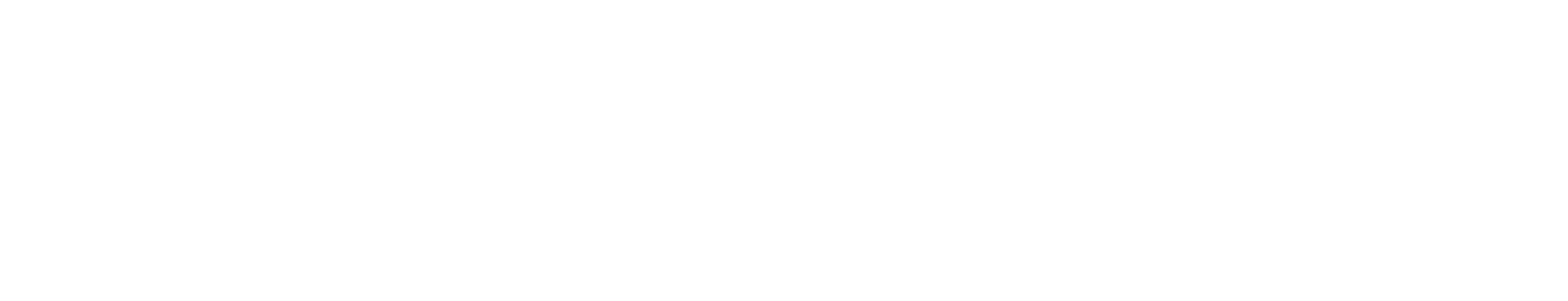 Chery Wonder Logo